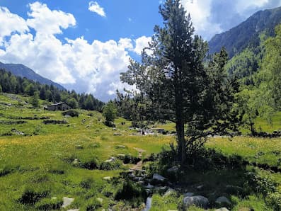 Ver galería de Vall del Madriu-Perafita-Claror