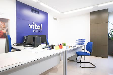 Galería de Vital Seguro S.A. 2